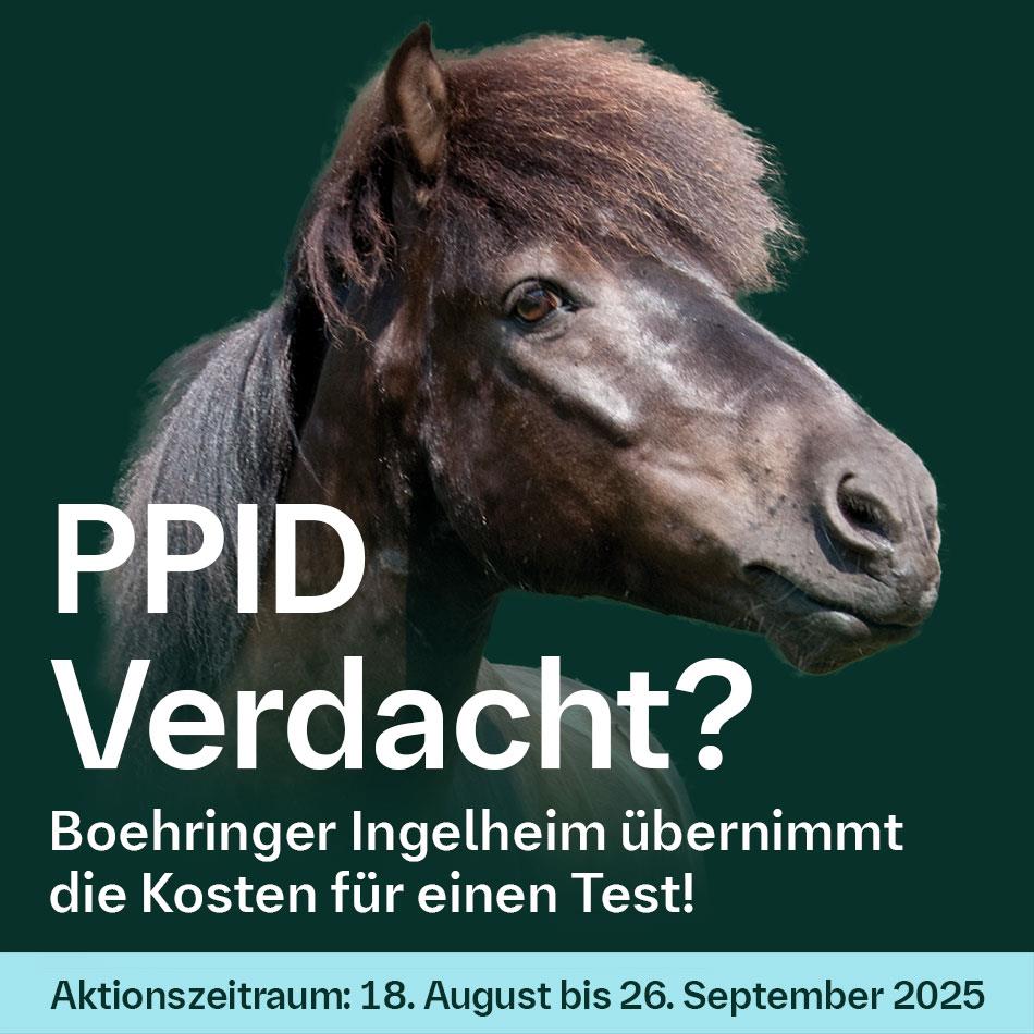 2025 Diagnostikaktion Ta Facebook 950X950