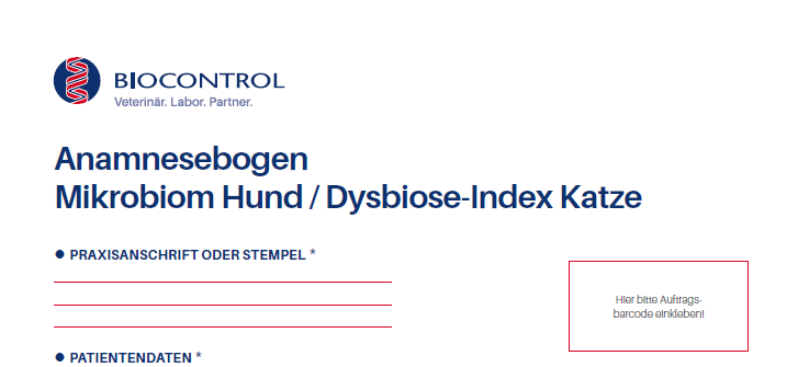 Mikrobiom Dysbiose Bild (1)