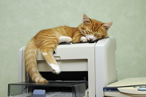 Katze schläft auf einem Faxgerät Katze schläft auf einem Faxgerät